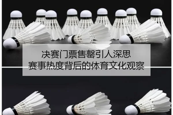 jue-sai-men-piao-shou-qing-yin-ren-shen-si-sai-shi-re-du-bei-hou-de-ti-yu-wen-hua-guan-cha-2-411.jpg